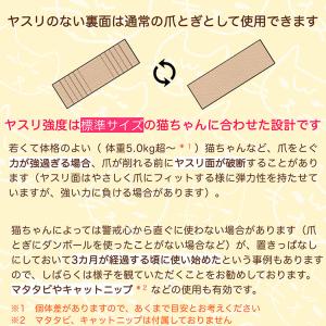 bibi Nyan ビビニャン ボックス型 1...の詳細画像5
