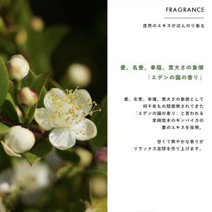 Nature+ For Dog スペシャル シ...の詳細画像4