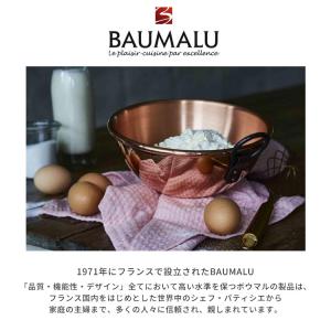 クーポン発行中 BAUMALU 銅のキャラメル...の詳細画像2