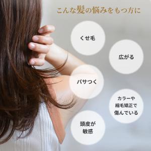 UNIK ナノシルクシャンプー 400ml ユ...の詳細画像2
