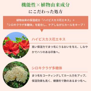 2本セット anelia natural トリ...の詳細画像2