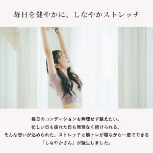 ハピネスタイル しなやかさん エアバックストレ...の詳細画像1