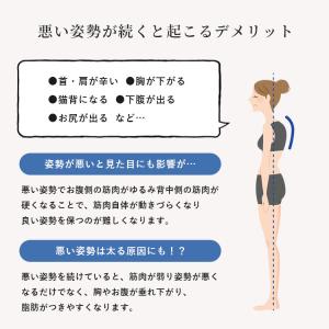 ハピネスタイル しなやかさん エアバックストレ...の詳細画像2