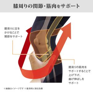 樫木裕実監修 24H健康くびれ筋 どんどん動け...の詳細画像4