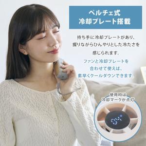 iFan Frozen アイファン フローズン...の詳細画像2