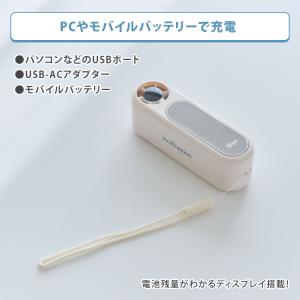 iFan Frozen アイファン フローズン...の詳細画像4