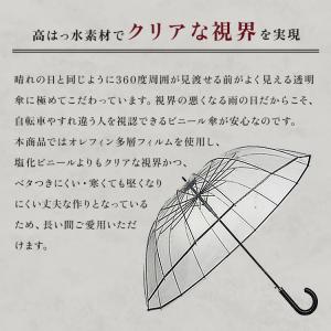 ホワイトローズ カテール16 AGENT ビニ...の詳細画像5