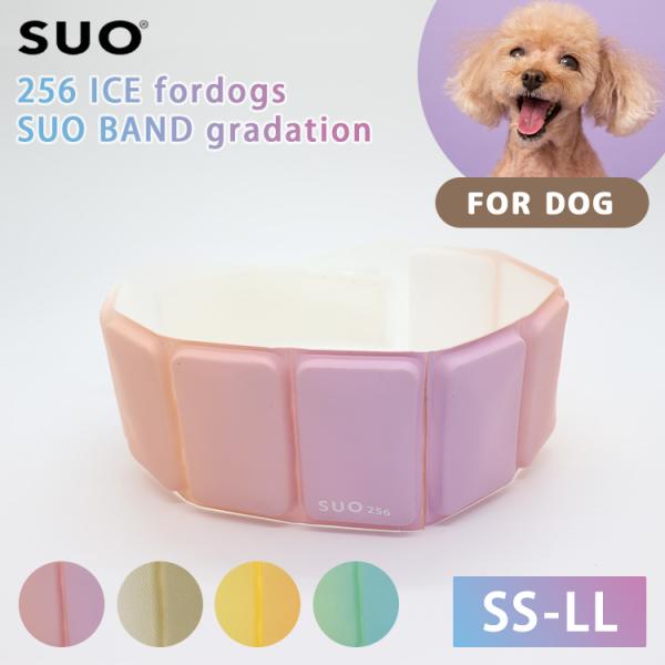 SUO 256 ICE fordogs SUO BAND gradation SS〜LLサイズ スオ...