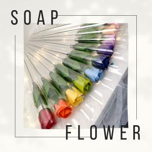 BinuHana シンプル一輪・アレンジ自由・韓国直入ソープフラワー・イベント用ブーケ・虹色バラ