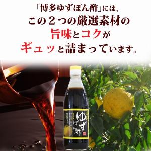 ゆずぽん酢 ポン酢 博多ゆずぽん酢 360ml...の詳細画像4