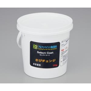 防錆防食剤　サビチェンジ　【アズワン】