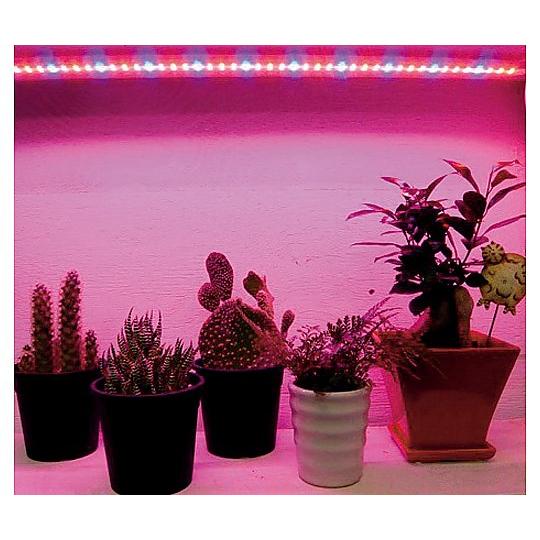その他 植物育成ＬＥＤライト補光用ＬＥＤ 1セット