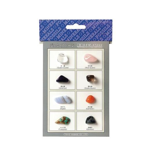 東京サイエンス 鉱物標本（ジェムストーン8種） 1セット
