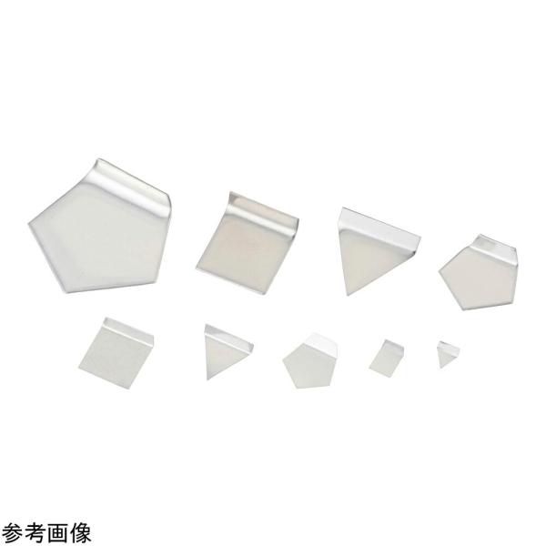 分銅 F2 100mg 1個 F2100MG