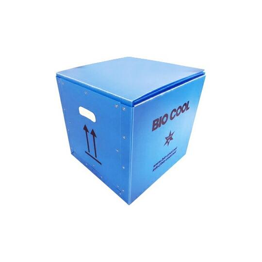 トレンドサイン バイオクール45 1個 BC45-1