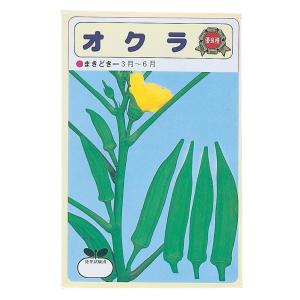 野菜の種 オクラ 苗床付 栽培・キットの詳細画像1