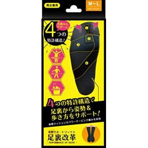 足裏改革 M−L