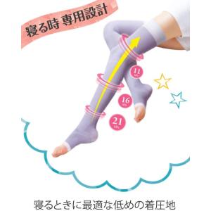 当日出荷 レキットベンキーザー・ジャパン ドク...の詳細画像1