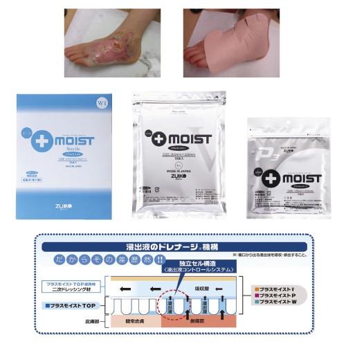 無料健康相談付 プラスモイスト   滅菌済２００×１２５ｍｍ WA2A