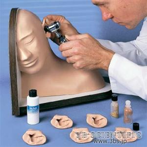 無料健康相談対象製品 世界基準 3Bサイエンフィティック社  模型 耳鏡シミュレーター 鍼灸  模型