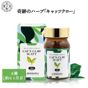 VALX バルクス EAA9 750g シトラス風味 必須アミノ酸 山本義徳