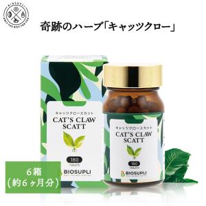 《6箱まとめ買い15%OFF 送料無料》キャッツクロウスカット 180粒×6箱| キャッツクロー キャッツクロウ サプリ カムカム ノニ マカ サプリメント｜biosupli