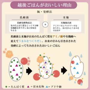 越後極み(450g×4) 低たんぱく 炊飯 低...の詳細画像2