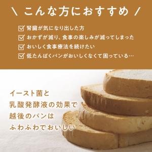 低たんぱく 越後の食パン(100g×20袋) ...の詳細画像2