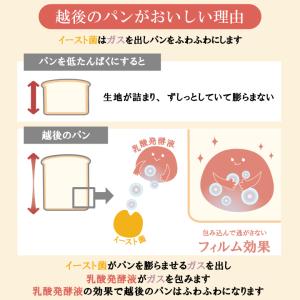 越後の丸パン(50g×20袋) 低たんぱく 米...の詳細画像2
