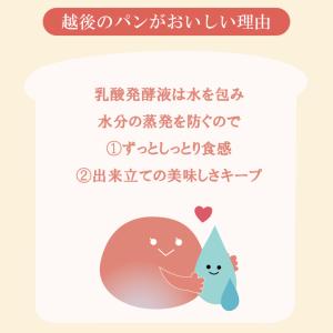 越後の丸パン(50g×20袋) 低たんぱく 米...の詳細画像3