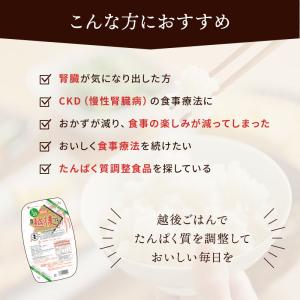 1/25プチ越後ごはん(129g×2カップ×2...の詳細画像3