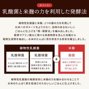1/5越後ごはん(150g×20個) 低たんぱ...の詳細画像5