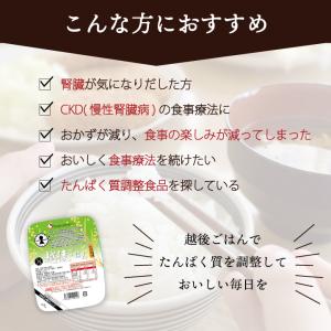 1/5越後ごはん(150g×20個) 低たんぱ...の詳細画像2