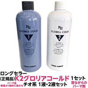 LebeL ルベル スタイリッシュシルキー H 1剤と2剤のセット 各 LebeL ルベル スタイリッシュシルキー H 1剤と2剤のセット 各