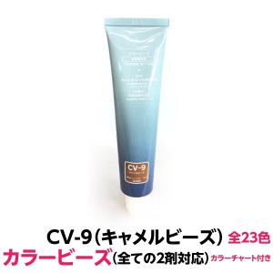 RENOM COSMETIC（ルノンコスメティック） 白髪染め に最適 LV-9 リーフ