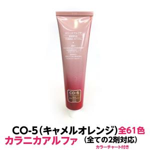 ヘアカラー おしゃれ染 NB-11ナチュラルベージュ カラニカアルファー 1