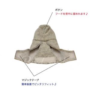 バーディフーディ スモール〜ウロコインコ 小型...の詳細画像3