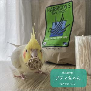 賞味期限 2027年9月 ハリソンバードフード...の詳細画像5