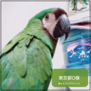 賞味期限 2028年1月 ハリソンバードフード...の詳細画像4