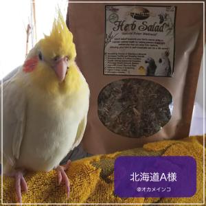 鳥専用 サプリメント/ハーブサラダ 鳥用 4o...の詳細画像2