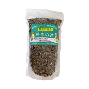 - ペット用 - 北海道産 農薬不使用 国産 ソ...の商品画像