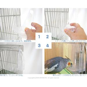 コバヤシ バナナ水入れ・抗菌クリア 99921...の詳細画像2