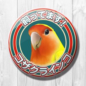 TOMO YAMASHITA DESIGN STUDIO.  飼ってます缶バッジ  コザクラインコ