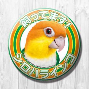 TOMO YAMASHITA DESIGN STUDIO. 飼ってます缶バッジ シロハラインコ