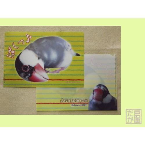 だが屋 A5クリアファイル 文鳥 桜 083A0201 　ネコポス対応可能