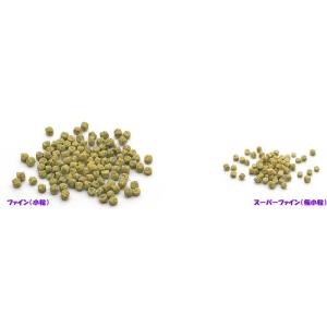 お一人様1点まで 賞味期限2027年11月末〜...の詳細画像2