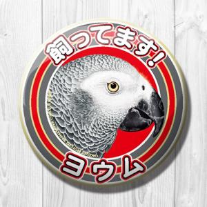 TOMO YAMASHITA DESIGN ST...の商品画像