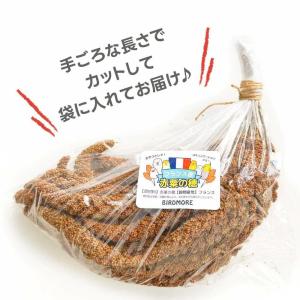 インコ えさ おやつ フランス産 赤粟穂 50...の詳細画像2