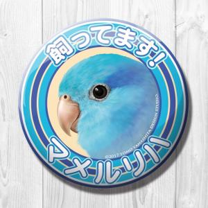 TOMO YAMASHITA DESIGN STUDIO.  飼ってます缶バッジ  マメルリハ