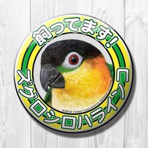 TOMO YAMASHITA DESIGN STUDIO. 飼ってます缶バッジ ズグロシロハラインコ